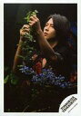 【中古】生写真(ジャニーズ)/アイドル/ジャニーズ ジャニーズ/山下智久/上半身・衣装黒・赤・両手上げ・葉っぱ・背景黒/シングル「CHANGE」MV&ジャケ写オフショット/公式生写真