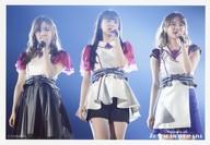 ͥåȥå׽ٲϲŷԾŹ㤨֡š̿(ǵں46/ɥ/ǵں46 No.125  (3/饤֥եȡɨ塦µԥ󥯡硦ޥ鲼/CHOOSE 5 PHOTOS! 7th YEAR BIRTHDAY LIVE PHOTO Ver.פβǤʤ230ߤˤʤޤ