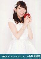 【中古】生写真(AKB48・SKE48)/アイドル/AKB48 小林茉里奈/レア・共通カット・パプリカ/劇場トレーディング生写真セット2015.June