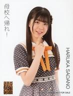 【中古】生写真(AKB48・SKE48)/アイドル/NMB48 貞野遥