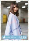 【中古】生写真(乃木坂46)/アイドル/日向坂46 小坂菜緒/上半身/日向坂46 ランダム生写真 【君に話しておきたいこと衣装】