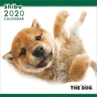 【中古】カレンダー THE DOG 柴 2020年度カレンダー