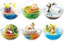 【中古】食玩 トレーディングフィギュア 全6種セット 「ポケットモンスター サン&ムーン テラリウムコレクションEX〜アローラ地方編2〜」