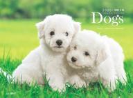 【中古】カレンダー Dogs 2020年度カレンダー