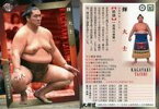 【中古】BBM/レギュラーカード/前頭/-/BBM2020 大相撲カード 37 [レギュラーカード] ： 輝 大士
