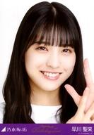 š̿(ǵں46)/ɥ/ǵں46 /Хȥåס8thBD饤Tġ/ǵں46 8th YEAR BIRTHDAY LIVEײ̿