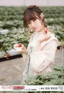 【中古】生写真(AKB48・SKE48)/アイドル/NGT48 07816 