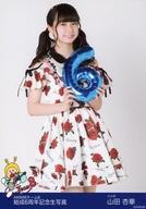 【中古】生写真(AKB48・SKE48)/アイドル/AKB48 山田杏華/膝上/AKB48 チーム8 結成6周年記念ランダム生写真