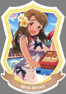 Anime Goods - 【中古】キャラカード 宮尾美也 ダイカットブロマイド 「アイドルマスター ミリオンライブ!」 アイドルマスターオフィシャルショップ くじM＠STER D賞