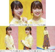【中古】生写真(坂道シリーズ)/アイドル/乃木坂46 ◇井