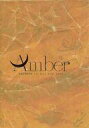 【中古】キャラカード AKIHIDE ART CARD BOOK(アートカードブック) 「1st Live Tour 2013 “Amber”」