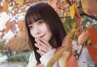 【中古】生写真(AKB48・SKE48)/アイドル/NGT48 小熊倫