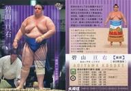 【中古】BBM/レギュラーカード/前頭/BBM2021 大相撲カード 24 [レギュラーカード] ： ...