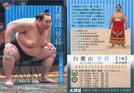 【中古】BBM/レギュラーカード/十両/BBM2021 大相撲カード 61 [レギュラーカード] ： 白鷹山 亨将