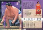 【中古】BBM/レギュラーカード/前頭/BBM2021 大相撲カード 37 [レギュラーカード] ： 琴ノ若 傑太