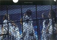 【中古】クリアファイル 欅坂46 A4クリアファイル (LIVE CUT ver.2) C 「欅坂46カフェ」 渋谷会場限定グッズ