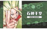 【中古】キャラカード 石神千空(Dr.STONE) 「週刊少年ジャンプ 名刺カードコレクション 第2弾」