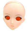 【中古】ドールアクセサリー 1/6用 KAY 彩色ヘッドB ホワイティ