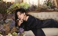 【中古】コレクションカード(男性)/CD｢Be(Essential Edition)｣封入特典フォトカード 防弾少年団/Jimin(ジミン)/CD「Be(Essential Edition)」封入特典フォトカード