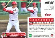 šۥݡ/쥮顼/2021 Υ ROOKIESSTARS 25[쥮顼]Ʋ