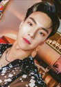 【中古】コレクションカード(男性)/CD「Fatal Love」(Ver.2)封入特典フォトカード MONSTA X/ショヌ(SHOWNU)/裏面赤・文字白/CD「Fatal Love」(Ver.2)封入特典フォトカード