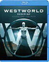【中古】海外TVドラマBlu-ray Disc ウエストワールド <ファースト・シーズン> コンプリート・ホックス