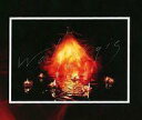 【中古】パズル Aimer CDジャケットデザインジグソーパズル 「CD Walpurgis 完全生産限定盤」 封入特典