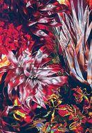 【中古】ミュージックテープ EMPiRE / HON-NO/IZA!![初回生産限定盤]