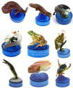 【中古】トレーディングフィギュア 全9種セット 「京都水族館フィギュアコレクション」