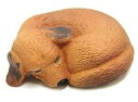 【中古】トレーディングフィギュア イヌ 「パンダの穴 ZooZooZoo 第8弾 まあるく寝」