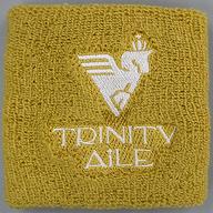 【中古】アクセサリー(非金属) TRINITYAiLE リストバンド 「IDOLY PRIDE -VENUS STAGE / RE：BEGINNING-」