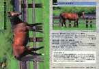 【中古】スポーツ/レギュラーカード/LEADING SIRE/サラブレッドカード’96 下半期 164 [レギュラーカード] ： アンバーシャダイ