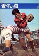 【中古】パンフレット ≪パンフレット(邦画)≫ パンフ)青年の樹/若い人
