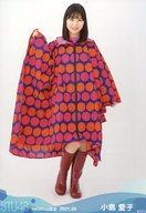 【中古】生写真(AKB48・SKE48)/アイドル/STU48 小島愛子/全身/STU48 2021年5月度netshop限定ランダム生写真 【2期研究生】