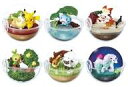 【中古】食玩 トレーディングフィギュア 全6種セット 「ポケットモンスター テラリウムコレクションEX〜ガラル地方編〜」