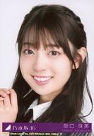 š̿(ǵں46)/ɥ/ǵں46 17/CDַ˼줿 Type-B(SRCL-118823)ŵ