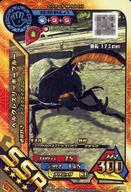 šۥॷ/SSR/ॷ/Ķ3 M-S3-03[SSR]إ륯쥹å֥롼