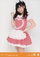 【中古】生写真(AKB48・SKE48)/アイドル/HKT48 上野遥