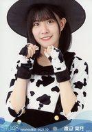 【中古】生写真(AKB48・SKE48)/アイドル/STU48 渡辺菜