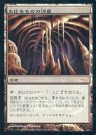 マジックザギャザリング/日本語版FOIL/R/2007ゲートウェイ プロモーションカード/DCI/土地 ：生けるものの洞窟/Zoetic Cavern