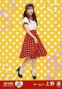 【中古】生写真(AKB48 SKE48)/アイドル/HKT48 H39 023-1：上野遥/「HKT48 栄光のラビリンス」ミニポスター生写真 第39弾