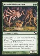 ͥåȥå׽ٲϲŷԾŹ㤨֡šۥޥå㥶/Ѹ/C//ɥࡼ 121/301[C]SHMJuvenile Gloomwidow/̤ϤݵפβǤʤ200ߤˤʤޤ