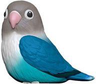 【中古】食玩 トレーディングフィギュア 5.ボタンインコ ブルー 「てのりフレンズ4」