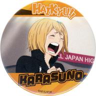 ハイキュー 布くるみ アクフィ アニカフェ 遊べ 大壮行会 缶バッジ 谷地 清水 ハイキュー 布くるみ アクフィ アニカフェ 遊べ 大壮行会 缶