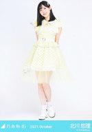 【中古】生写真(坂道シリーズ)/アイドル/乃木坂46 北