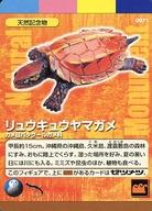 【中古】アニメ系トレカ/フィギュアカード/わがままな天然列島 大地の動物シリーズ 孤高の覇者 0071：リュウキュウヤマガメ
