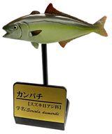 【中古】トレーディングフィギュア カンパチ 「原色海水魚図鑑 III」