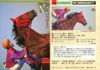 【中古】スポーツ/レギュラーカード/第41回有馬記念出走馬12/有馬記念/サラブレッドカード’96 下半期 099 [レギュラーカード] ： マーベラスサンデー