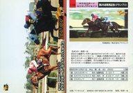 【中古】スポーツ/レギュラーカード/第25回 有馬記念(グランプリ)/DEAD HEAT/サラブレッドカード’96 下半期 115 [レギュラーカード] ： ホウヨウボーイ/カツラノハイセイコ