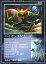【中古】大貝獣物語/召喚獣/大貝獣物語 THE MIRACLE OF THE ZONE コスモ編 866:バイオンズ星人(星) 200円